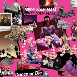 Dance or Die by Birdy Nam Nam
