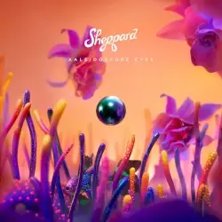 Kaleidoscope Eyes by Sheppard