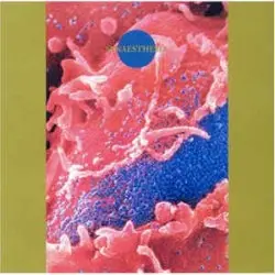 Synaesthesia by Death Ambient