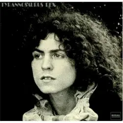 A Beard of Stars by Tyrannosaurus Rex