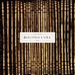 Beloved Exile by Steve Moore