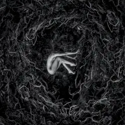 Let the Earth Be Silent by Fvnerals