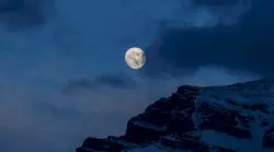 Nor the Moon by Night by Scott Lawlor
