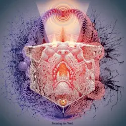 Reverie by Forming the Void