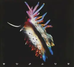 Evolve by Sub Focus