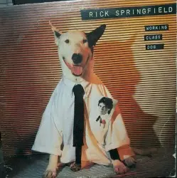 Working Class Dog by Rick Springfield