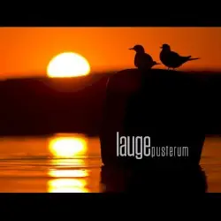 Pusterum by Lauge