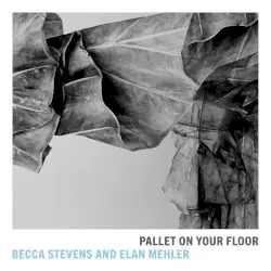 Pallet On Your Floor by Becca Stevens and Elan Mehler