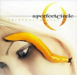 Thirteenth Step by A Perfect Circle