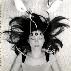 Memories Are My Only Witness by Yuka Honda