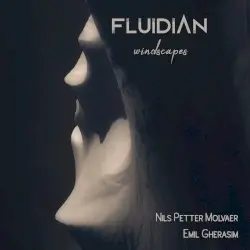 Windscapes by Fluidian & Nils Petter Molvær