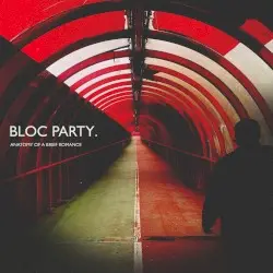 Anatomy of a Brief Romance by Bloc Party