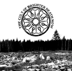 All Too Bad - Bad to All by Brighter Death Now