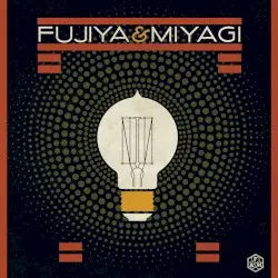 Lightbulbs by Fujiya & Miyagi