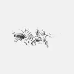 FEATHERS by D. Kowalik