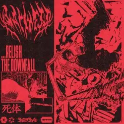 ...relish the downfall by DΛRKNΣSS