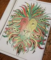 Jungle Tracks by DJ Acid Spectra