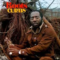 Roots by Curtis Mayfield