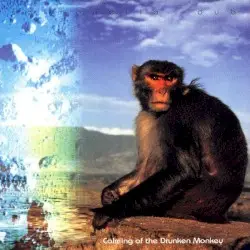 Calming of the Drunken Monkey by Salmonella Dub