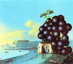 Wow by Moby Grape