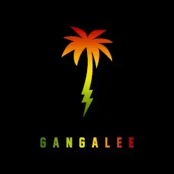 Gangalee by Farruko