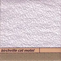 Shapeshifter by Birchville Cat Motel