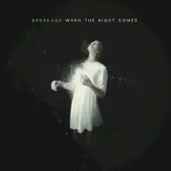 When the Night Comes by Breakage