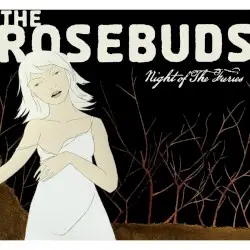 Night of the Furies by The Rosebuds