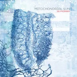 Sju Pulsarer by Mitochondrial Sun