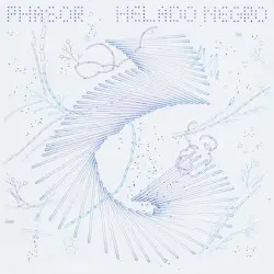 Phasor by Helado Negro