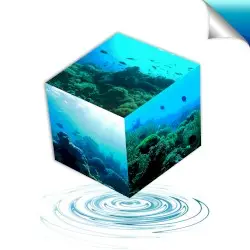 【Ｆｕｔｕｒｅ Ａｑｕａｒｉｕｍｓ ＬＴＤ】 by Ｆｕｔｕｒｅ░Λｑｕａｒｉｕｍｓ░ＬＴＤ