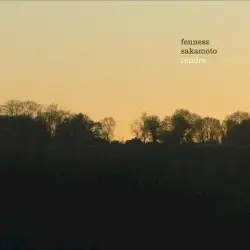 Cendre by Fennesz + Sakamoto