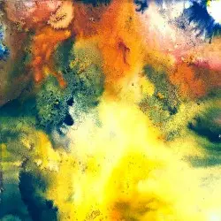 UMMA by Don Bolo