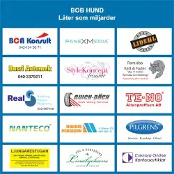 Låter som miljarder by bob hund