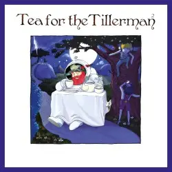 Tea for the Tillerman² by Yusuf / Cat Stevens