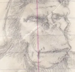 Primate by Kevin Drumm