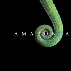 Amazônia by Untitled Project
