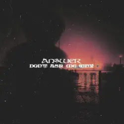 Don't Ask Me Why by AN$WER