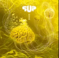 Octa by S.U.P.