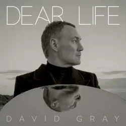 Dear Life by David Gray