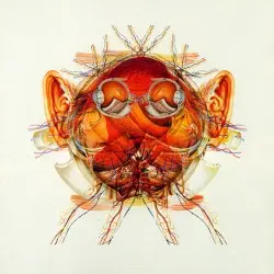 SCHEMAtic by Senser