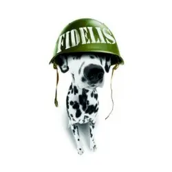 Fidelis by Pat Travers