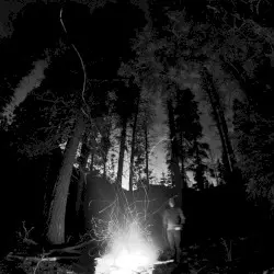 Immersed by Evergreen Refuge