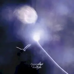 headlights by sugar plant