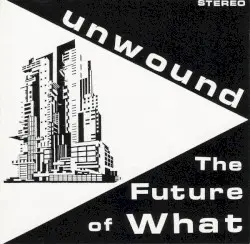 The Future of What by Unwound