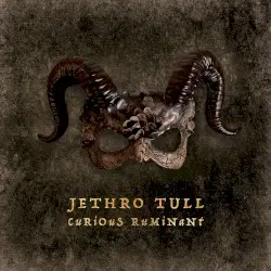 Curious Ruminant by Jethro Tull