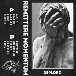 DEPLORO by Remittere Momentum