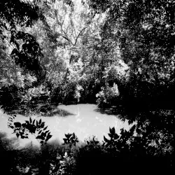 Last Dayz ov Summer by Reflections From Nowhere