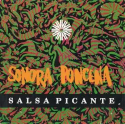 Future by Sonora Ponceña