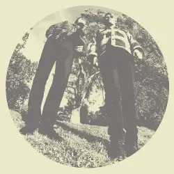 Hair by Ty Segall & White Fence